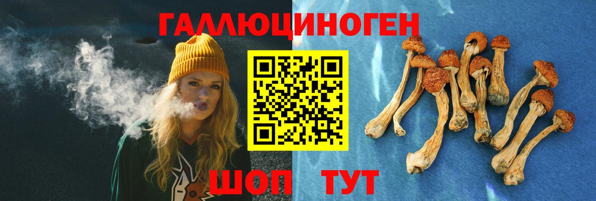 Галлюциногенные грибы GOLDEN TEACHER  Вход с VPN  Канаш  Галлюциногенные грибы MAGIC MUSHROOMS 